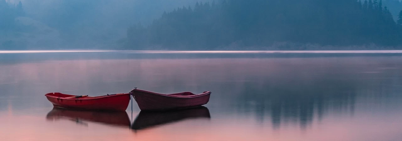 Registre del domini elcentre.com