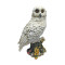 id-sit-consectetur-nulla-voluptate-earum-consequatur